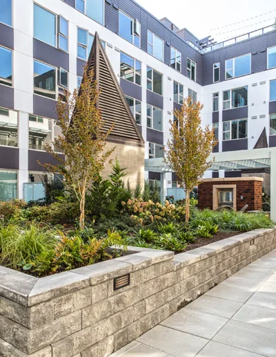 A courtyard with plants and trees in front of an apartment building.
