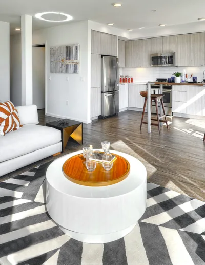 A living room and kitchen in a modern apartment.