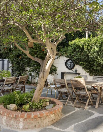 Outdoor patio with a large tree in a brick planter, two dining tables with wooden chairs, potted plants, a hedge, and wall decorations.